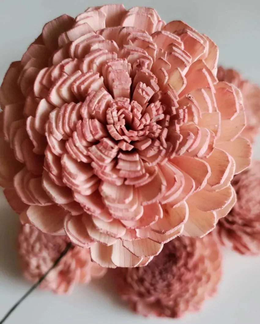 Coressa Sholapith DIY Flower Bunch | Vase Not Included | 11 Flower Heads