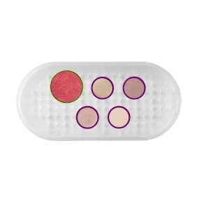 Everyday Natural Palette